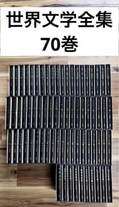 m66147513643_1.jpg?1719893585