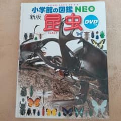 小学校館の図鑑 NEO 昆虫 DVDなしですのサムネイル