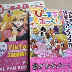 ぴーまるDiary!! 公式ファンブック ぴーまるぶっく！。 P丸様。のサムネイル