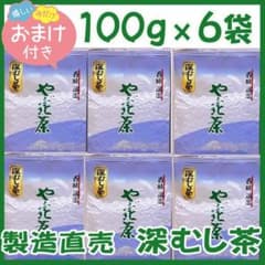 静岡茶 深むし茶100g×6個 送料無料 かのう茶店 お茶煎茶緑茶格安