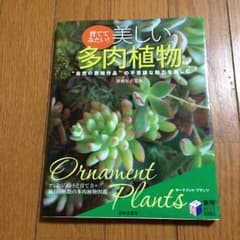 美しい多肉植物のサムネイル