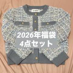 Lily Brown 2026年福袋　ニットジャケット　シュシュ　スカート　3点 LILY BROWN 福袋 2026 4点セット - メルカリ