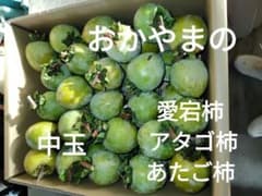愛宕柿 あたご柿 渋柿 干し柿用 中玉 40〜50個のサムネイル