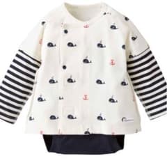 combi mini ラップコンパクト（クジラボーダー）のサムネイル