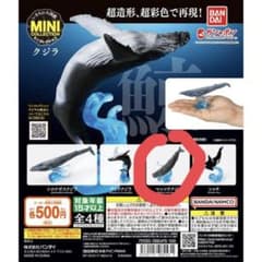 いきもの大図鑑ミニコレクションクジラ マッコウクジラのサムネイル