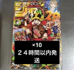 週刊少年ジャンプ 33号 ワンピースカード付録 メタキラ おまけ付き