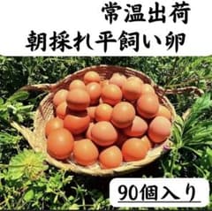 朝採れ平飼い卵 160個入り 大分県佐伯市産 大分県佐伯市産 朝採れ平飼い卵 90個 - メルカリ