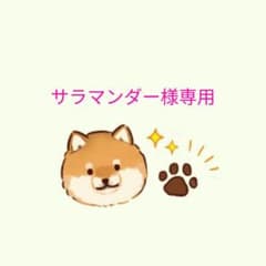 サラマンダー様専用☆ミニミニお守り袋1点のサムネイル