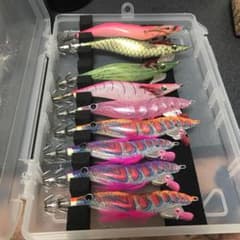 エギ9本のサムネイル