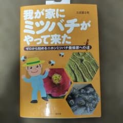 我が家にミツバチがやって来た : ゼロから始めるニホンミツバチ養蜂家への道のサムネイル