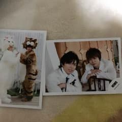 NEWS 公式写真のサムネイル