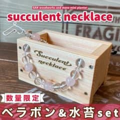 ★succulent necklace★ミニプランター天然石使用おまけ付きsetのサムネイル