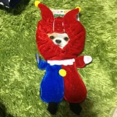 ペティオ 変身ほっかむりスヌードのサムネイル