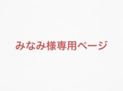 みなみ様専用ページのサムネイル