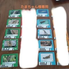 たまちゃん様専用 カードのみ10枚のサムネイル