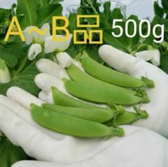 スナップエンドウ　500gのサムネイル