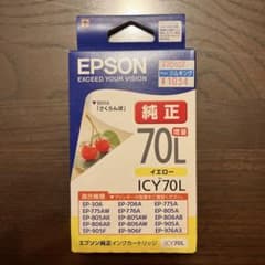 EPSON ICY70Lのサムネイル
