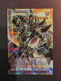 遊戯王OCG 超魔導剣士－ブラック・パラディンのサムネイル