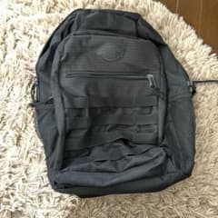【大幅値下げ中‼️】Dickies  リュックサックのサムネイル