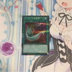ハーピィの羽根帚 1枚目のサムネイル