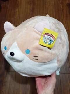 ドウシシャ/ごろねこサミット♡ぷわぷわクッション♪未使用のサムネイル