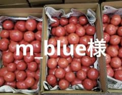 m_blue様　麗夏トマト　5kのサムネイル