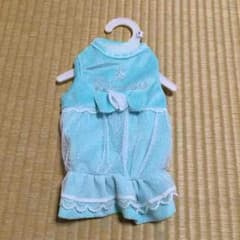 ≪新品≫犬用ペット服♡Pet Queenのサムネイル