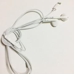 iPhone イヤホン 正規品のサムネイル