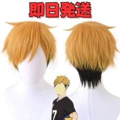 m66327198544_1.jpg?1769690300