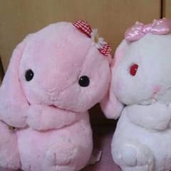 ぽてうさろっぴー×3匹♪のサムネイル