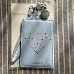 ⭐︎未開封⭐︎ seventeen フラッシュパスケース　　　　　　　【匿名配送】 SEVENTEEN ODE TO YOU オデコン フラッシュパスケース - メルカリ