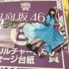 潮紗理菜　アクリルチャーム　日向坂46のサムネイル