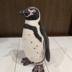ペンギン 置物 フィギュア リアル インテリアのサムネイル