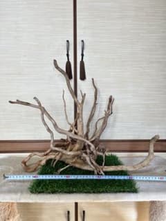 流木、ブランチウッドセット53cm レイアウトのサムネイル