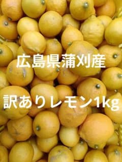 訳あり！産地直送　広島県蒲刈産レモン20kg 訳あり！広島県蒲刈産 レモン1kg - メルカリ