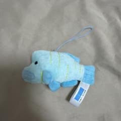 沖縄美ら海水族館 ナポレオンフィッシュ ぬいぐるみストラップのサムネイル