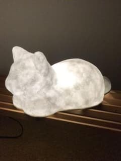 まいち様専用☆『gorogoro koyonaku』の【NEKOのAKARI】☆のサムネイル