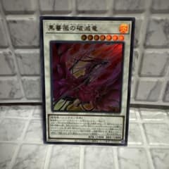 黒薔薇の破滅竜 ブランブルローズドラゴン プリシク　psa10 m66367265958_1.jpg?1768616671