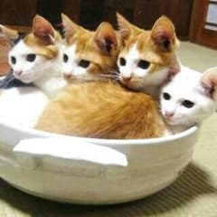 zumiさん専用のサムネイル