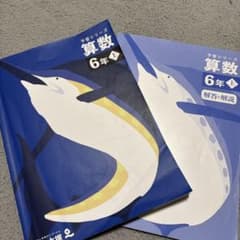 算数シリーズ 6年上 問題集と解説書のサムネイル