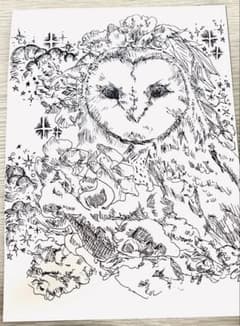 フクロウのイラスト 手書きペン画 アートのサムネイル