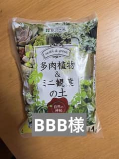 多肉植物&ミニ観葉の土　1ℓのサムネイル