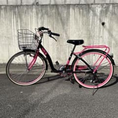 m66377828261_1.jpg?1735706242