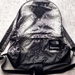 極美品Supreme × The North Face スネーク バックパック - メルカリ