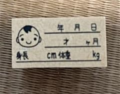 最終値下げ！！育児スタンプ 身長 体重 はんこのサムネイル