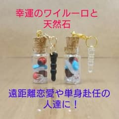 【願いを込めた小瓶～ワイルーロと天然石～ 遠距離恋愛,単身赴任】のサムネイル