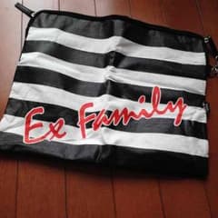 EXFAMILY 会員特典 バッグのサムネイル