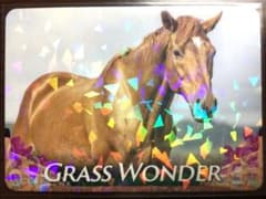 メモリアルホースカード グラスワンダー - メルカリ