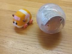 モルカー　ならぶんです　ポテトのサムネイル