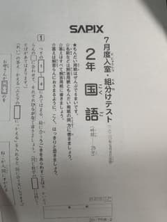 SAPIX小学２年生　算数 国語　年間フルセット 年間テスト付き SAPIX 2年生 7月度入室 組分けテスト 国語 算数、解答付き 2年分